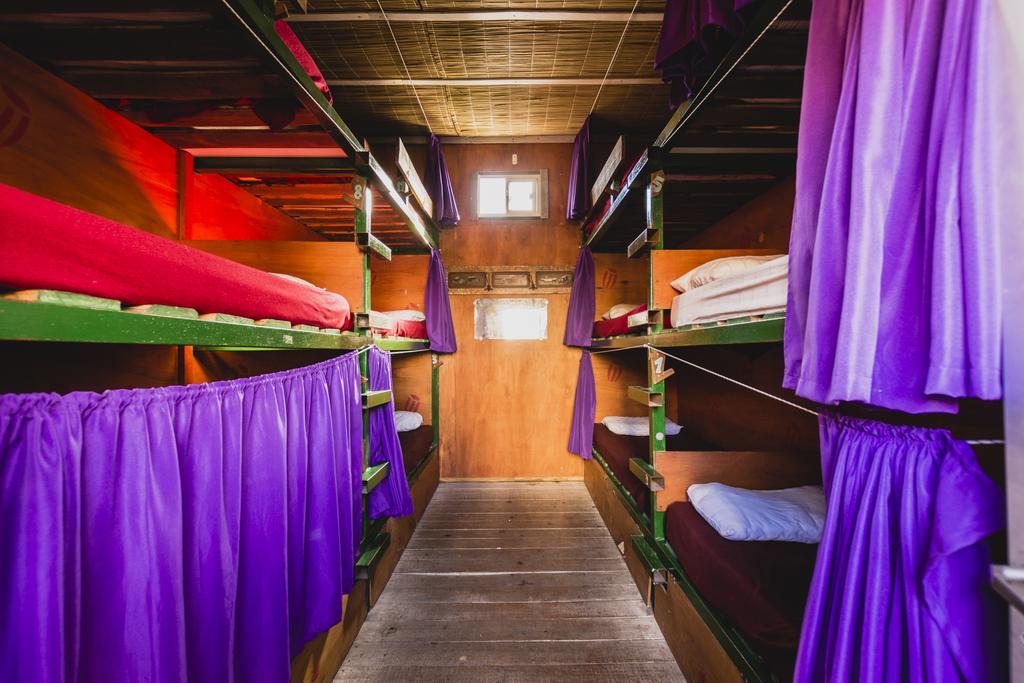 Bunk Bed in Mixed Dormitory Room